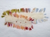 feather_two_19