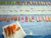 feather_two_27