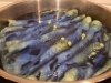 greenalge_4
