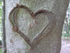 ligurien_01