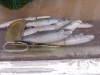 ligurien_11