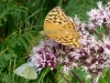 ligurien_27