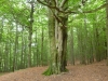 ligurien_32