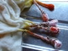 Seegras_5