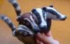 Fingerpuppen Gitte Style