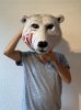 polarbaer_12